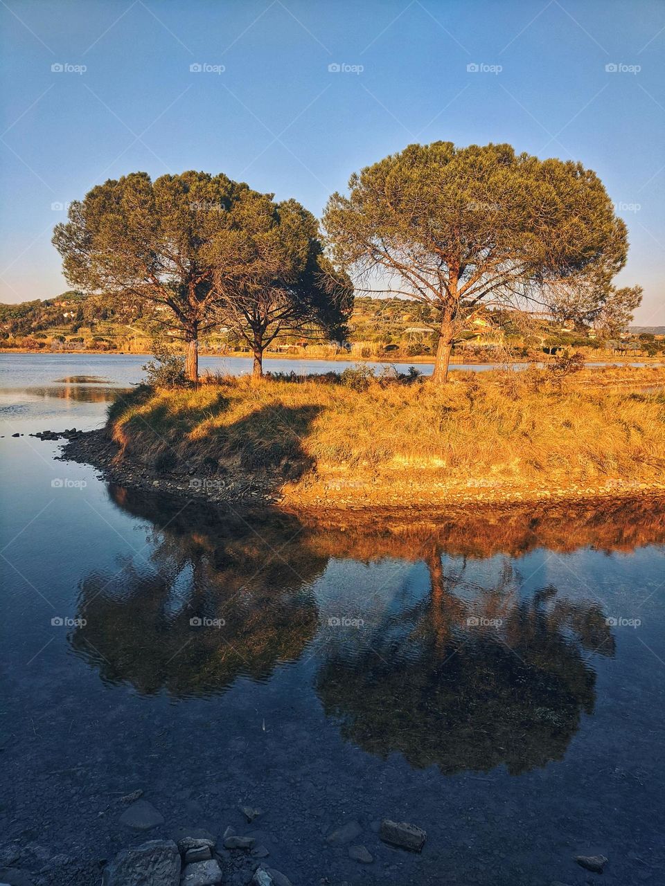 Scenic view of hills, pine trees reflected in the lake, sea close up