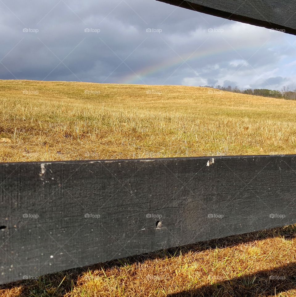 rainbow over a golden field