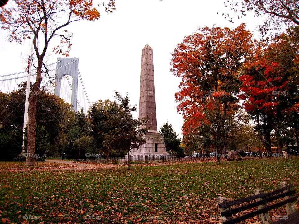 No Person, Tree, Fall, Park, Outdoors