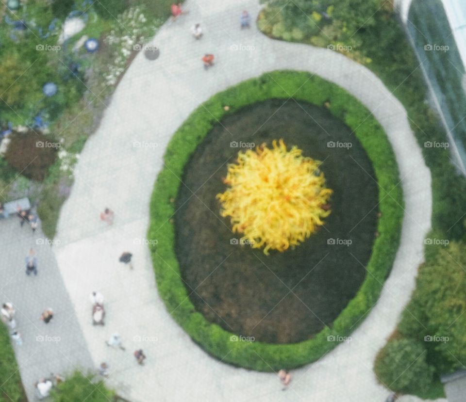 Glass flower visible from Space Needle glass floor