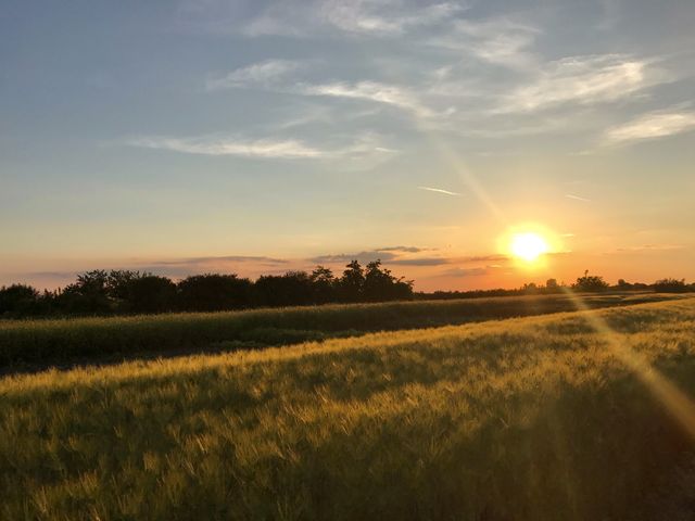 Sunset in a field in a beautiful flat land in a small village in Banat that is called Janošik, in Vojvodina, of the state of Serbia.