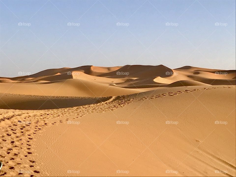 Amazing sand dunes view with sunlight and shadows in Sahara Desert during a camel ride