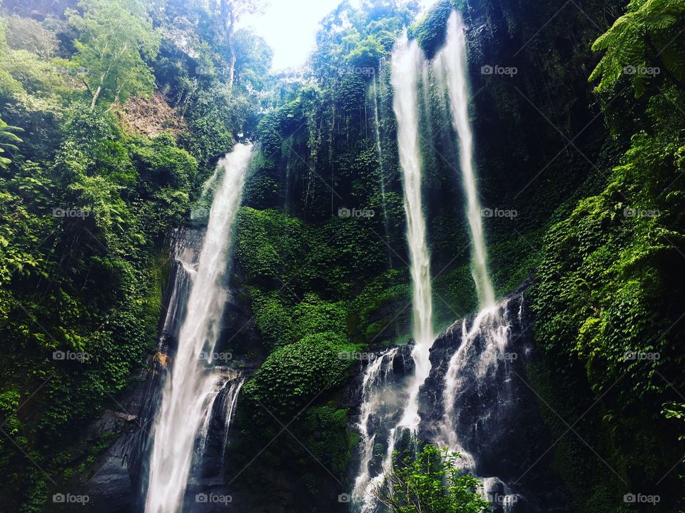 Beautiful and majestic waterfall 

North bali, Indonesia

Somehow being there made me forget about the whole world, I can only hear the water, and birds chirping near by their nests
