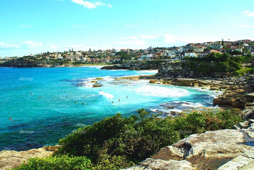 Bondi Beach