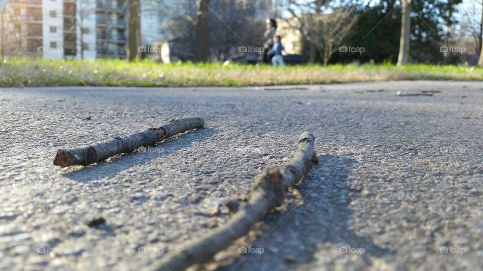 Road, Nature, No Person, Outdoors, Street