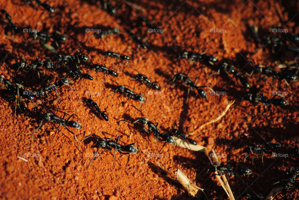 big or small the natural world is magnificent