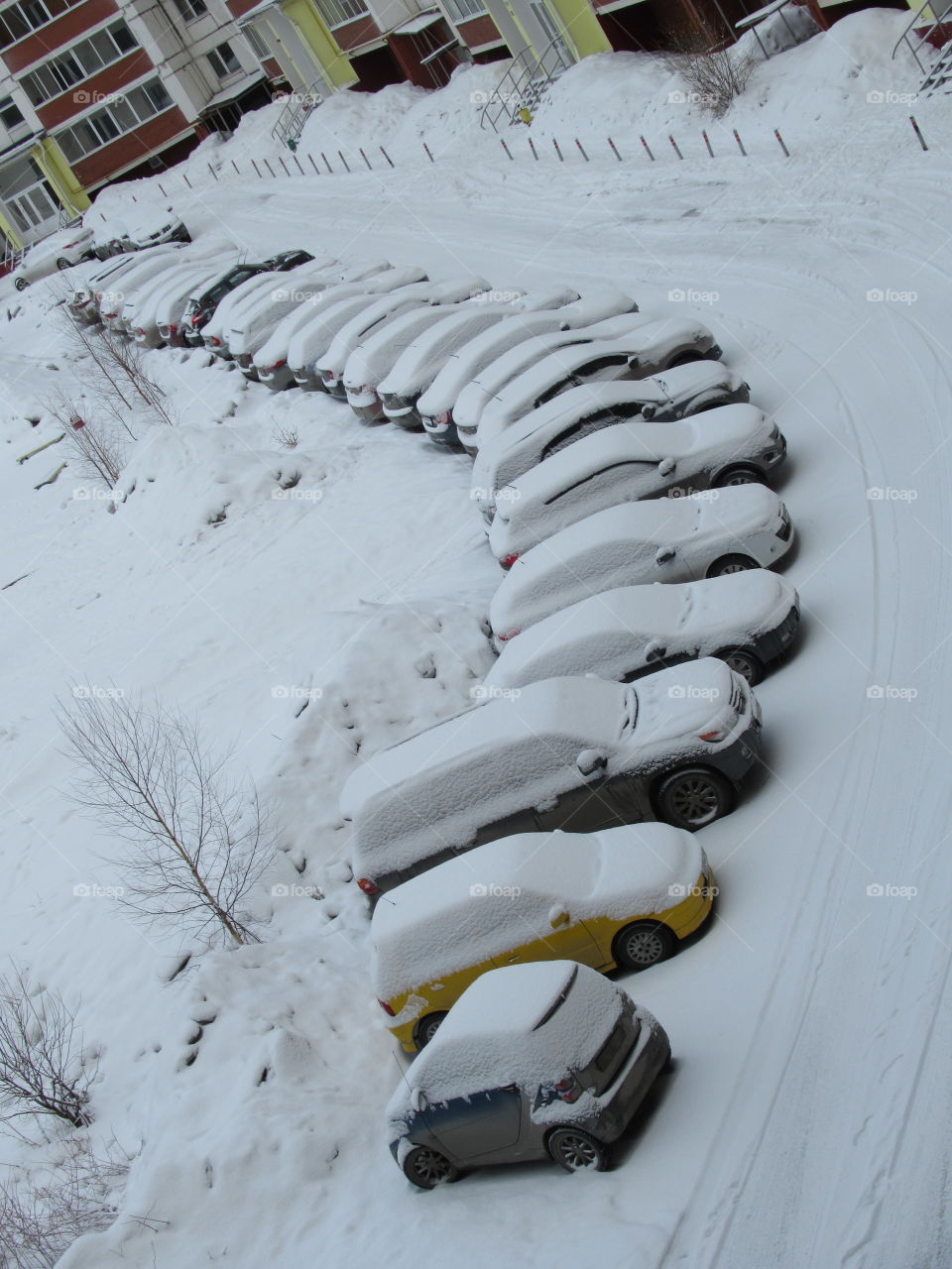 morning of March 31 in the Urals in Russia, fresh snow, winter does not leave us