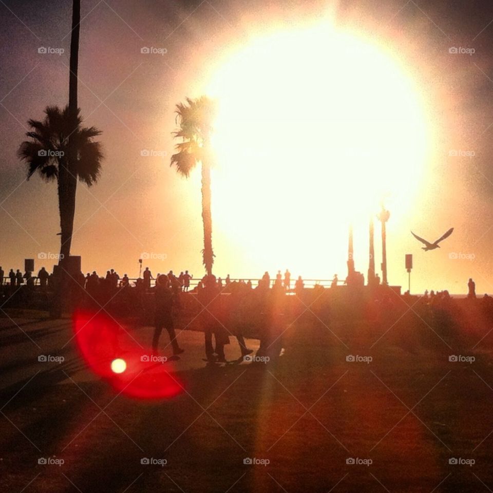 Venice Beach