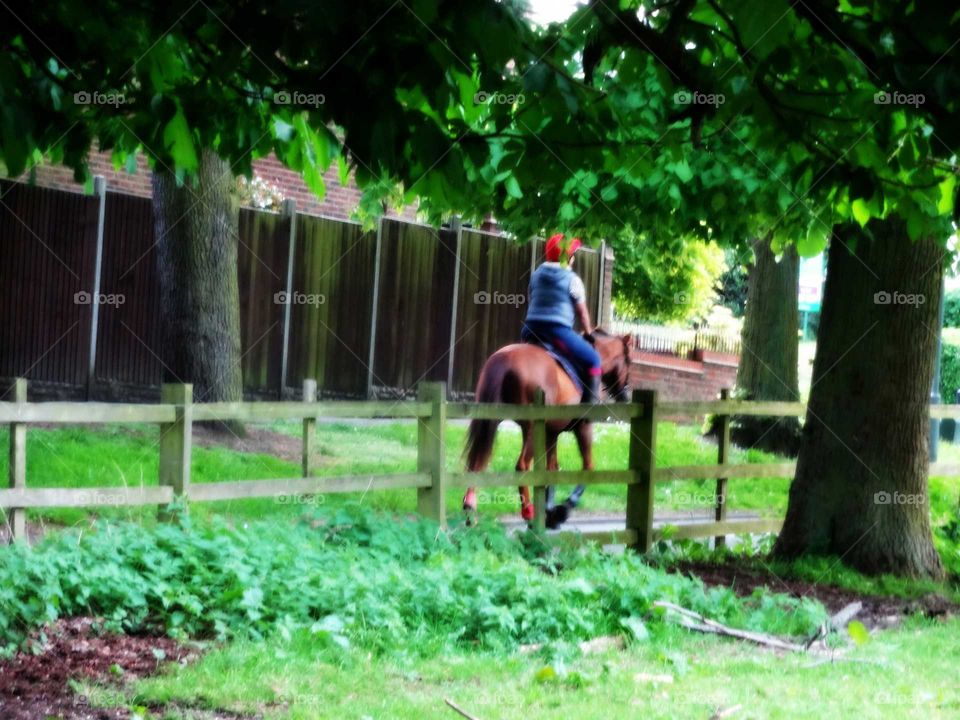 Horseback ride