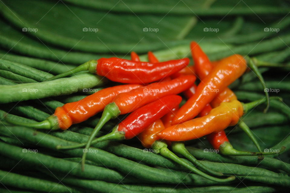 red chili close up green background