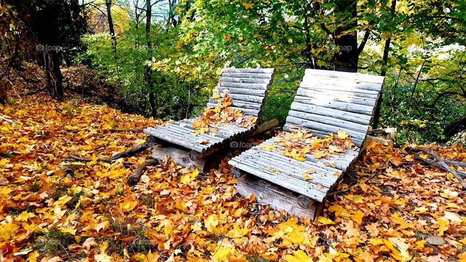 Sunbeds in foliage