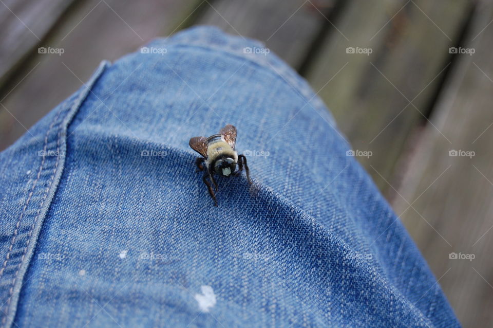 Say hello to my lil friend #2