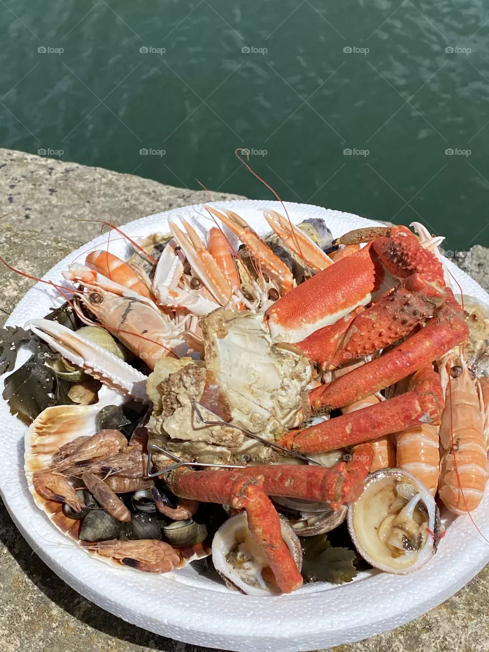 Seafood 