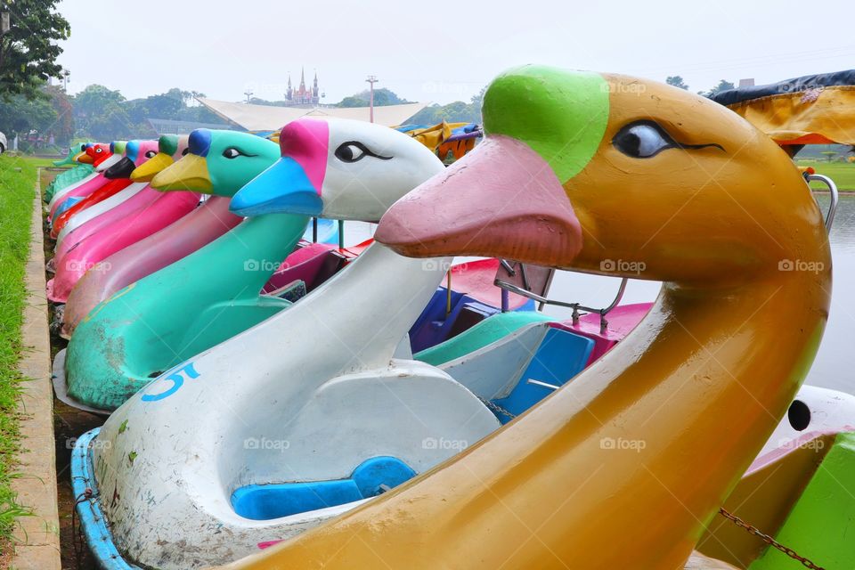 Swan-shaped water boats