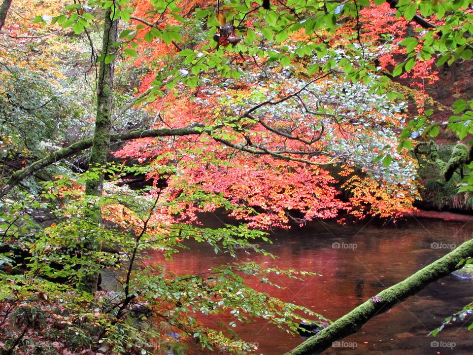 red reflection