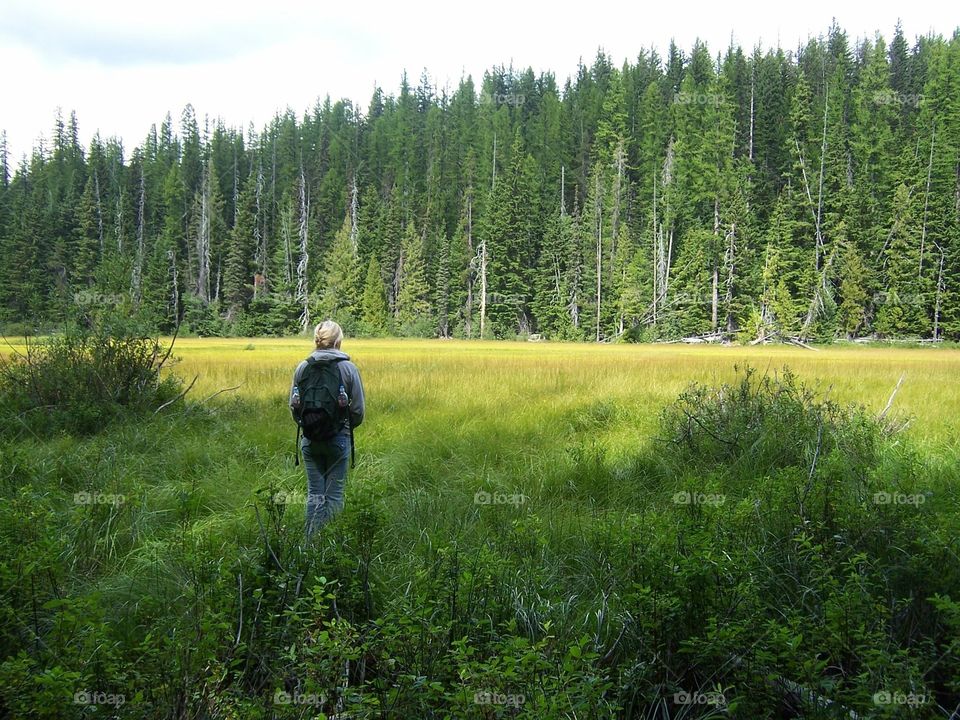 Hiking to the hidden field