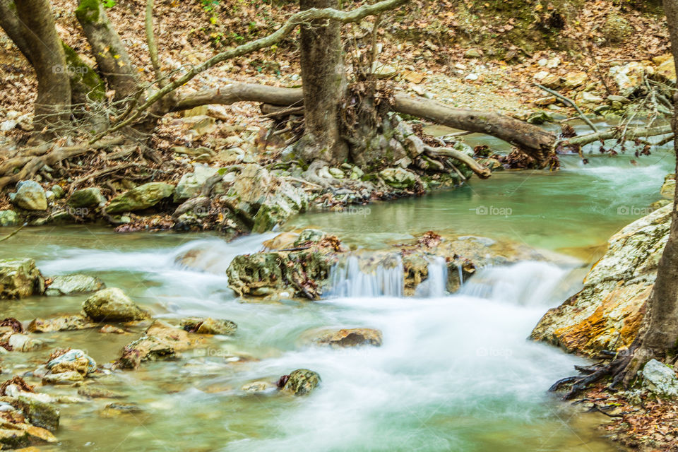 Water, Stream, Nature, Fall, Waterfall