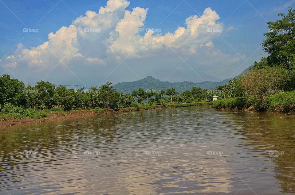 morning view in the lake