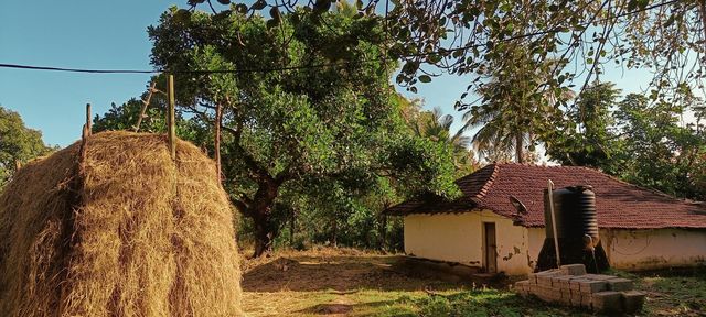 My Village