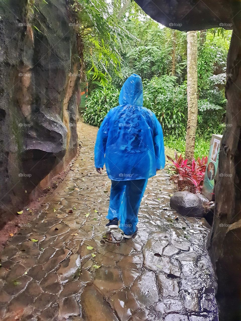 people wearing raincoat walking in the drizzle