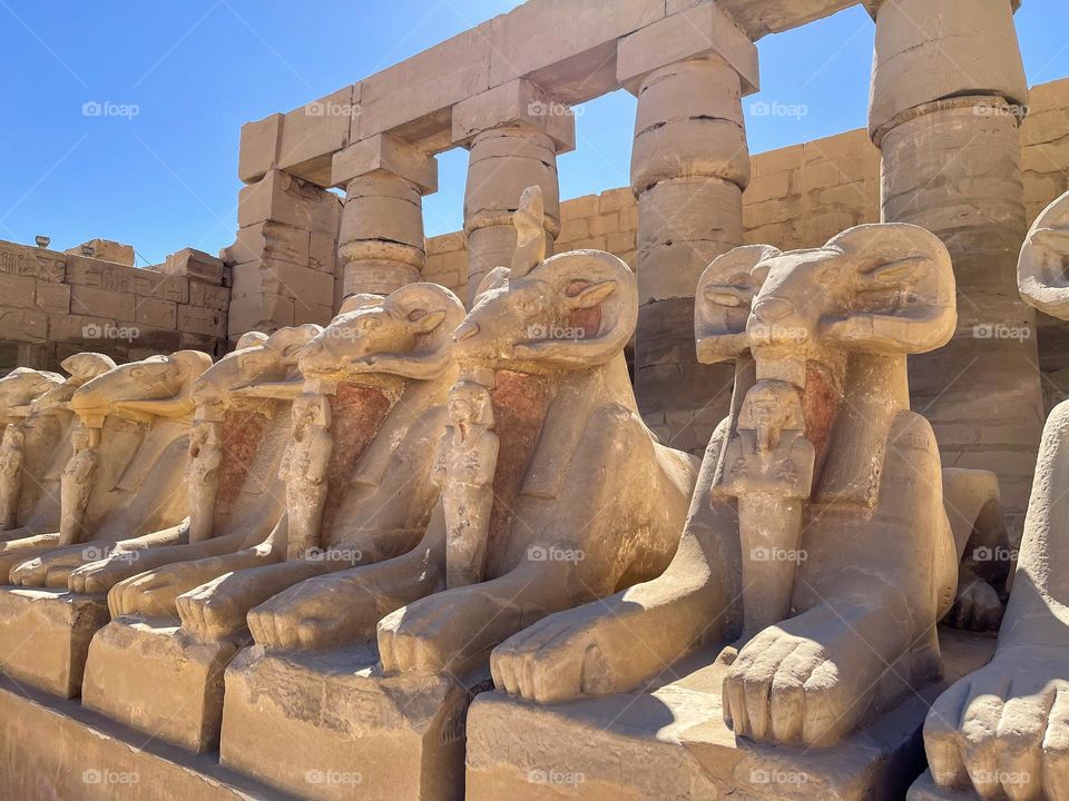 Alley of ram-headed sphinxes in Luxor, Egypt 