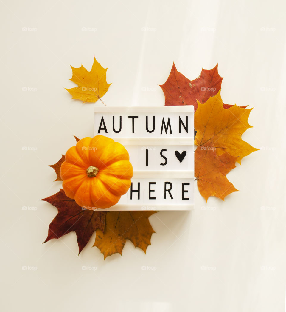 Lettering autumn is here on a light box with fall leaves and little orange pumpkin 