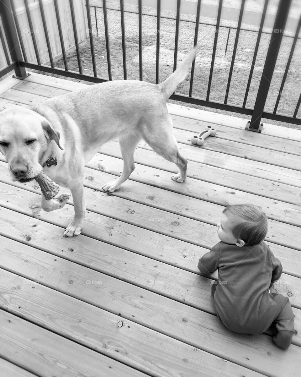 Getting some fresh air out on the deck 