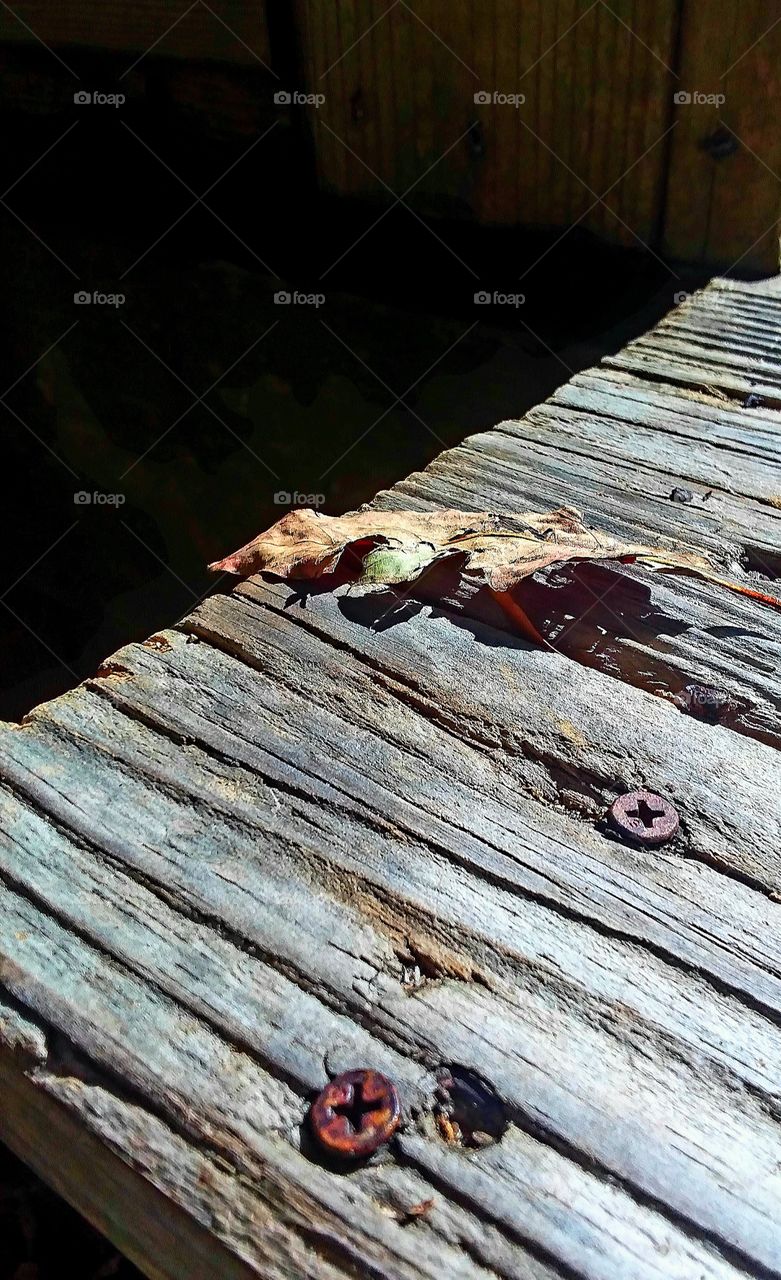 lone leaf hanging off the step