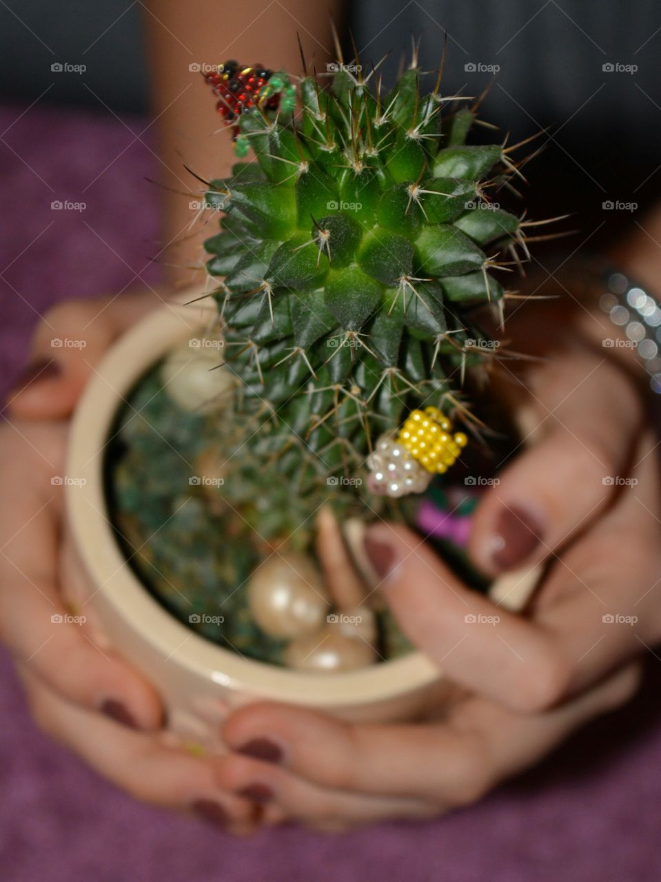 Medicine, Cactus, Indoors, Flower, People