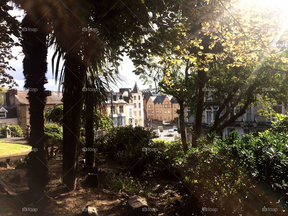 Through the trees and I see civilisation 