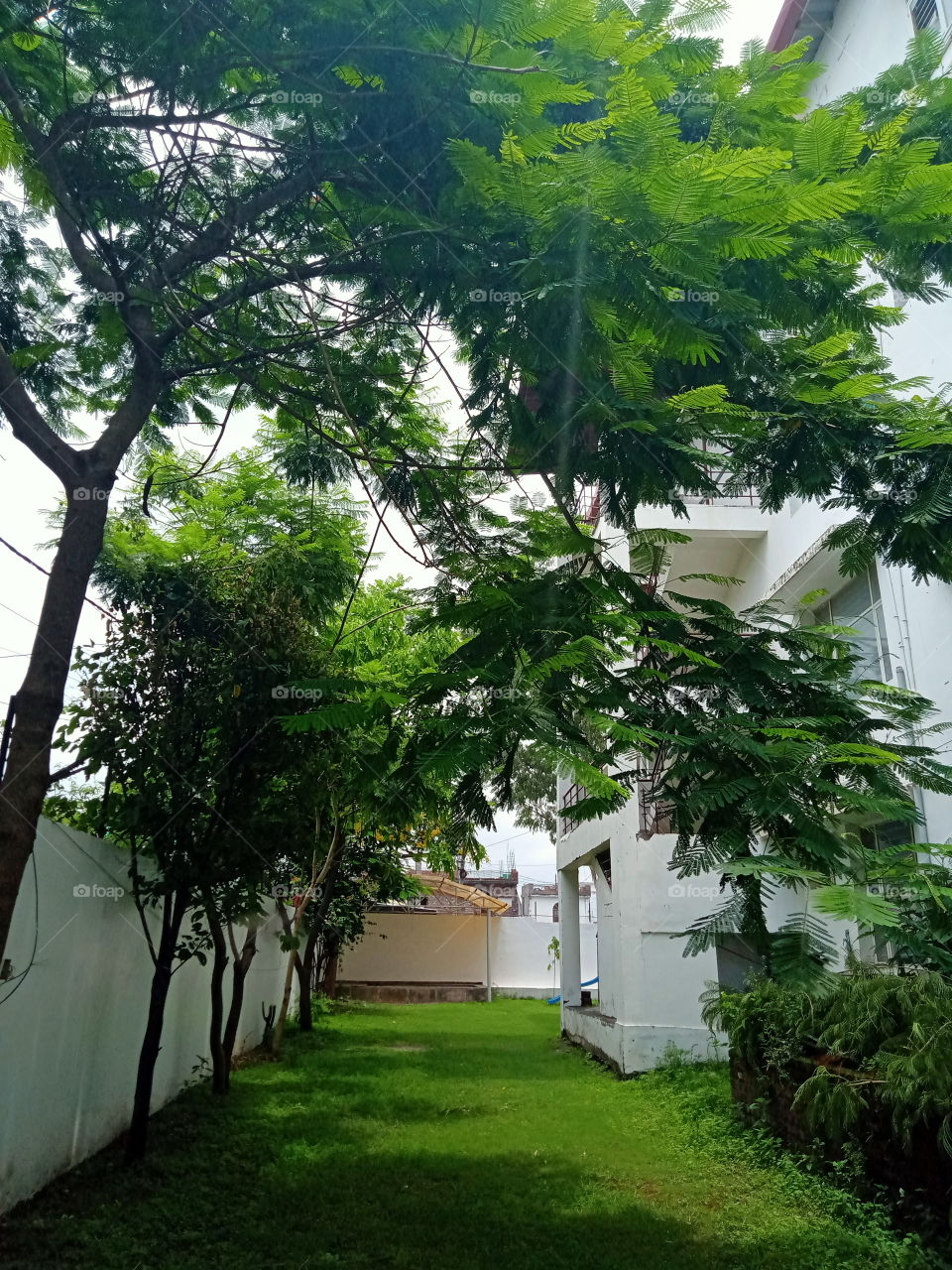 Adding a little beauty