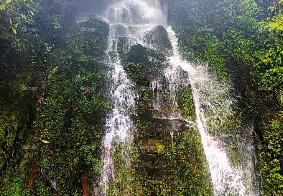 Beautiful Waterfall, Darjeeling