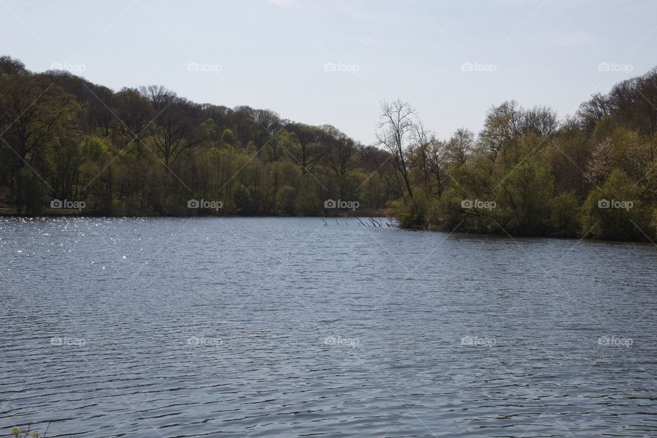 the river in the forest