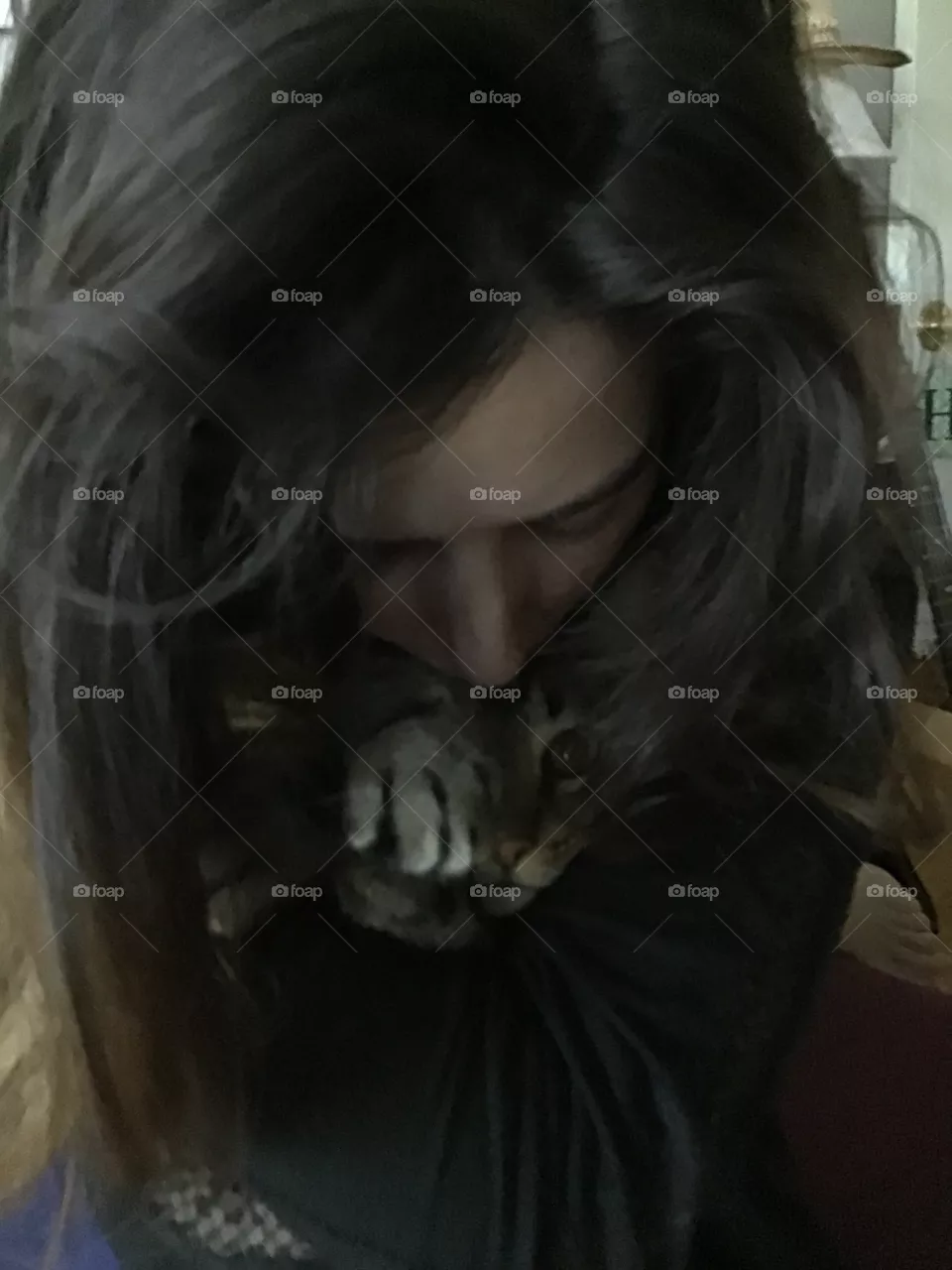 Girl with cat looking straight ahead surrounded by her hair