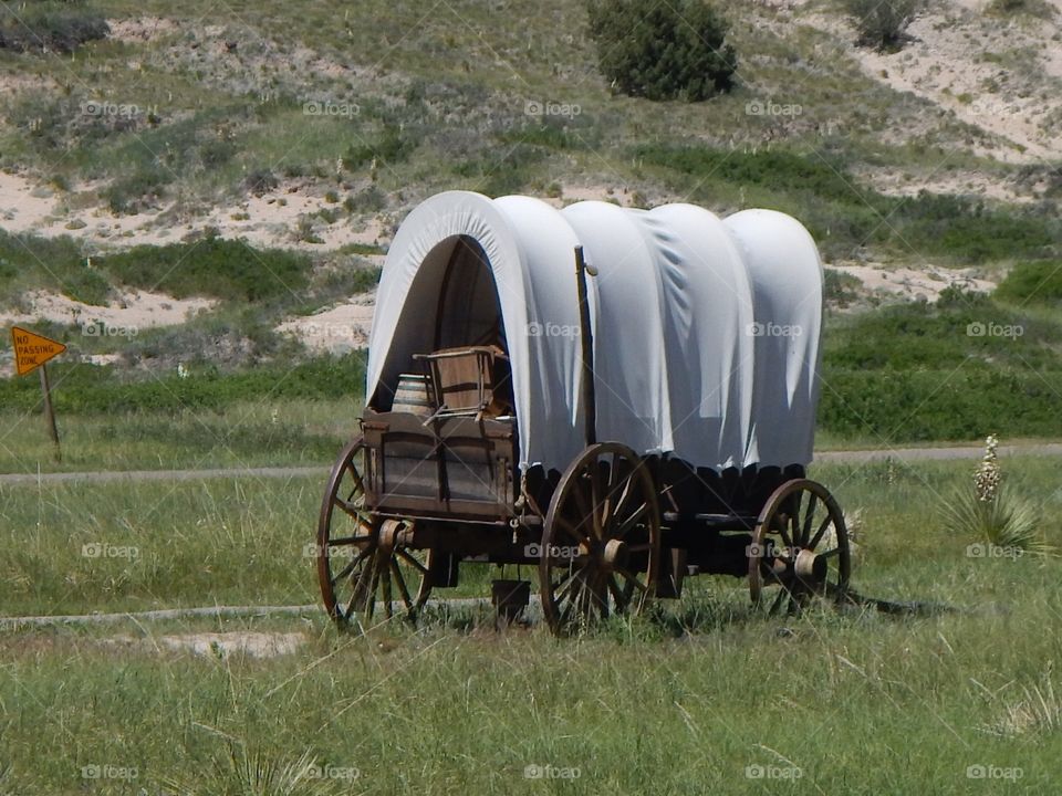 Covered Wagon
