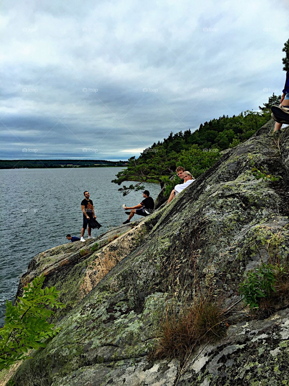 Perched on the rocks to swim!