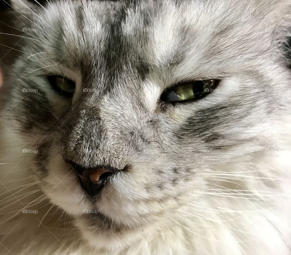 Working that side eye....