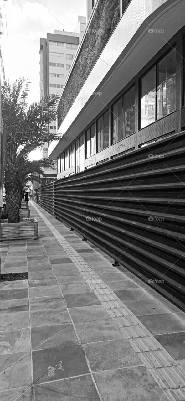 Building construction siding