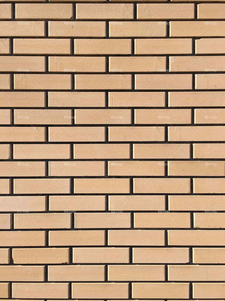 Brick wall 