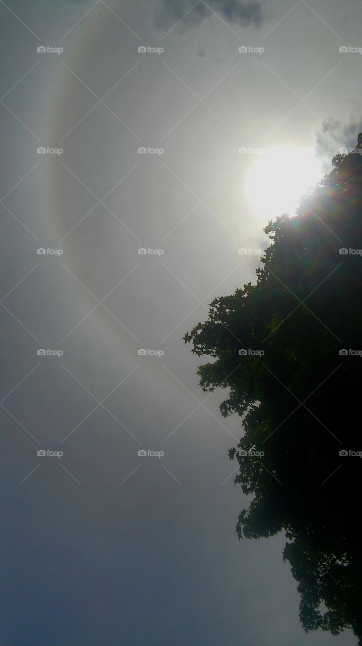 Sun, No Person, Fog, Landscape, Sky