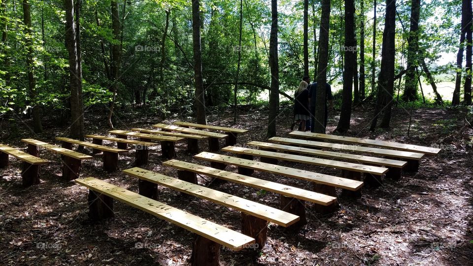 benches in the woods