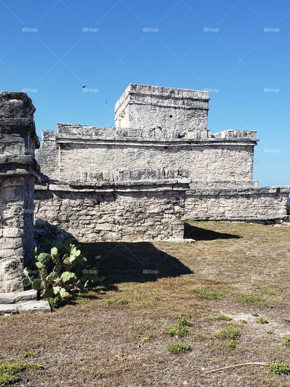 ruine maya