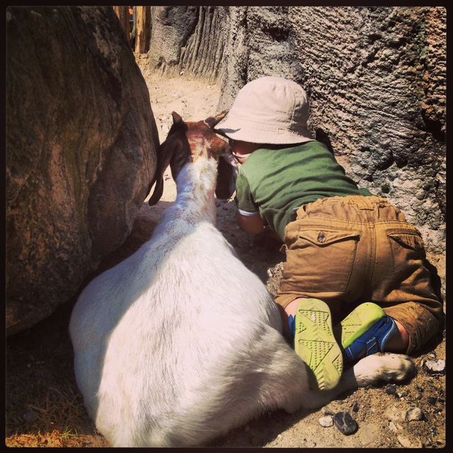 Odd friends