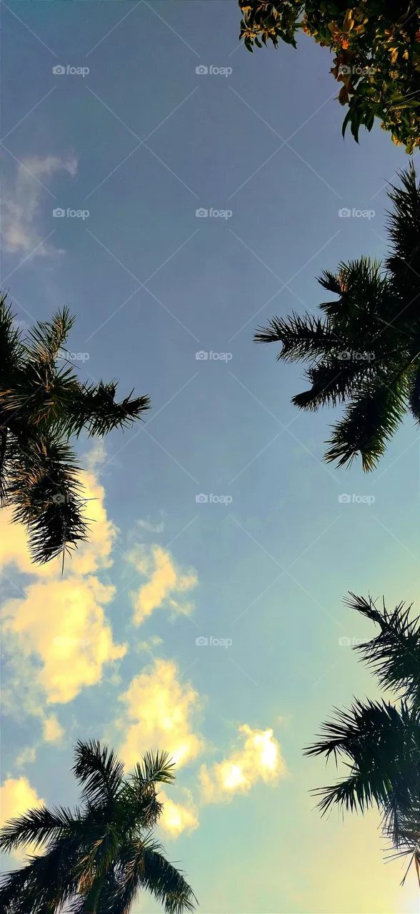 🌴❣️