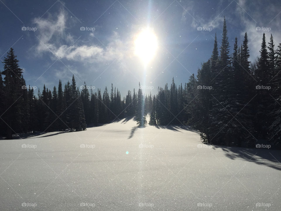 Snow scene Jackson hole backcountry