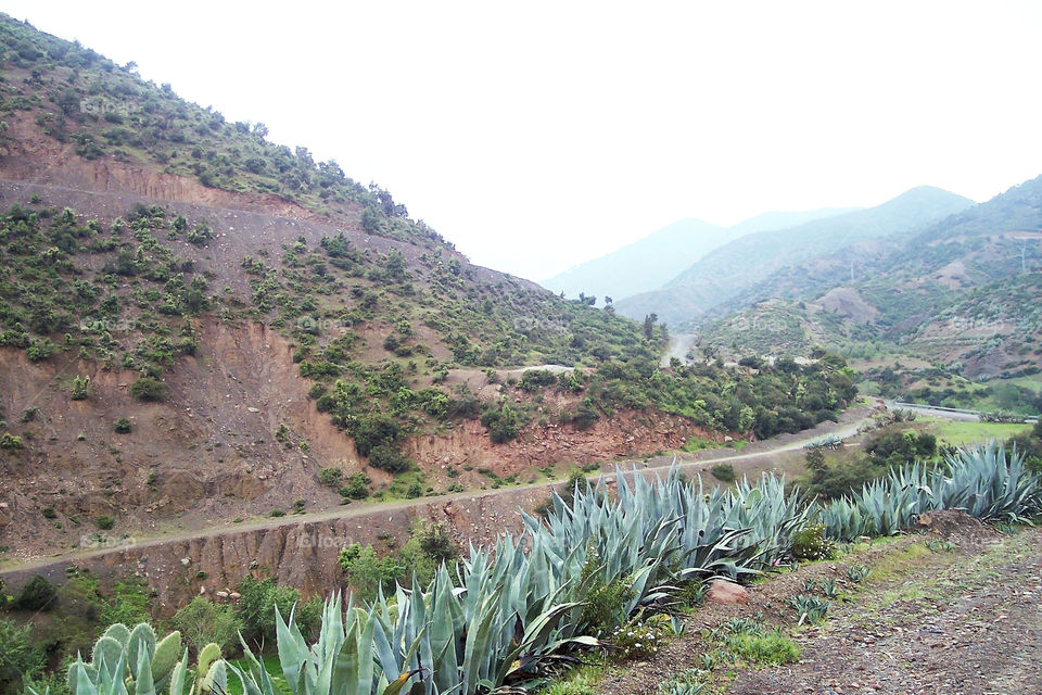 Foggy mountain sloping Cliff area and green blue vegetation