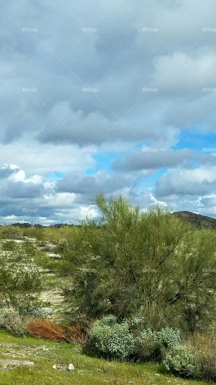 stormy desert