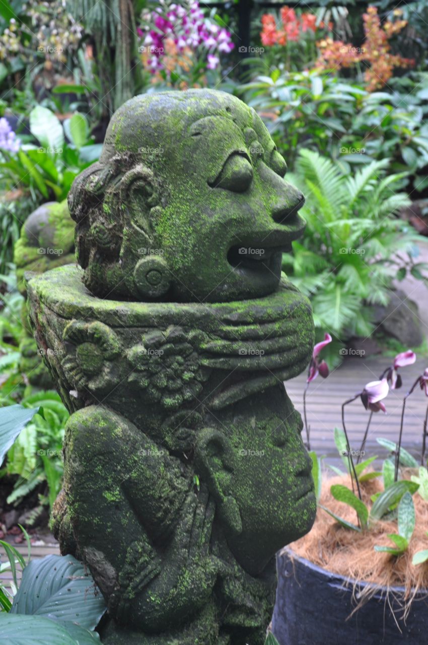 Magic garden. Walking in botanic garden in Singapure