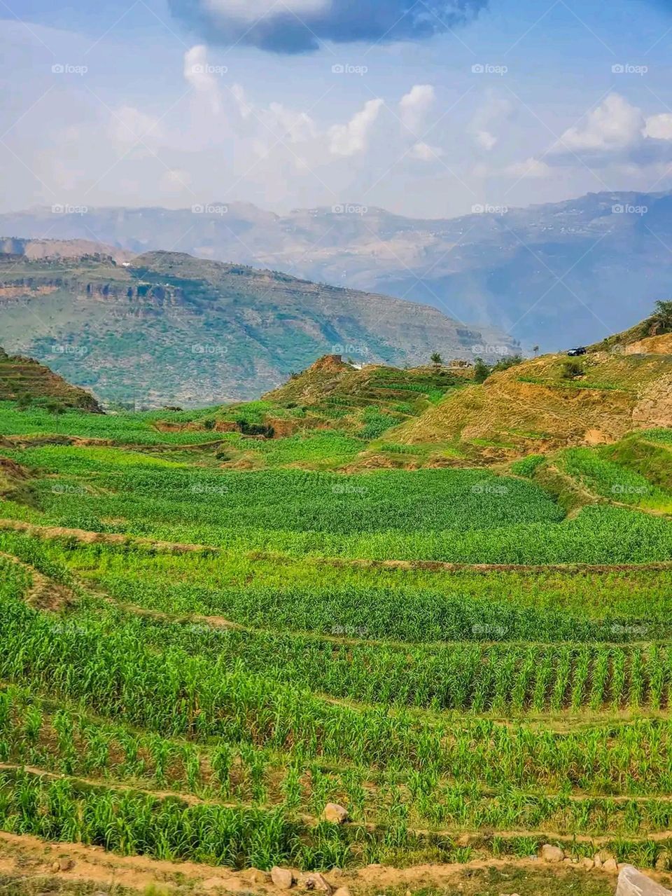 Glory be to God, the magnificent and picturesque view and the natural green trees are a view that is nothing more wonderful than it