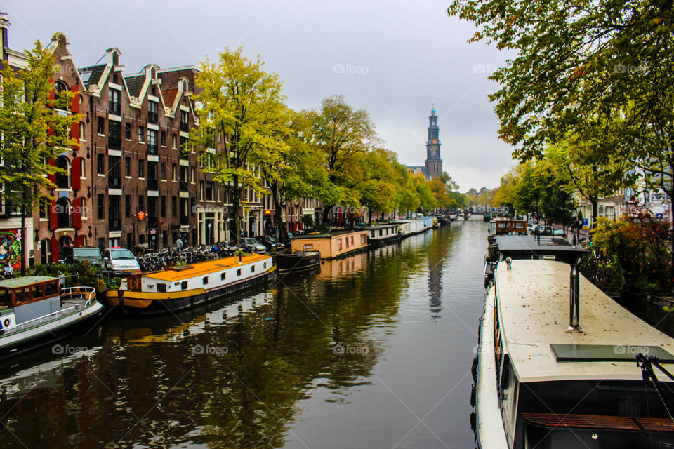 Portrait of Amsterdam 